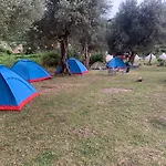 Camping Parknight