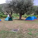 Camping Parknight