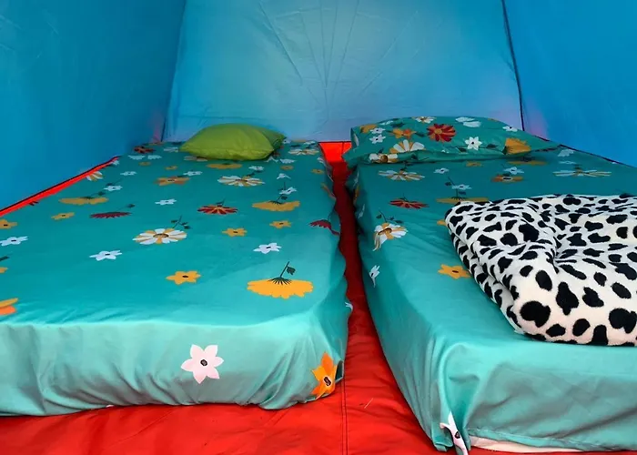 Camping Parknight