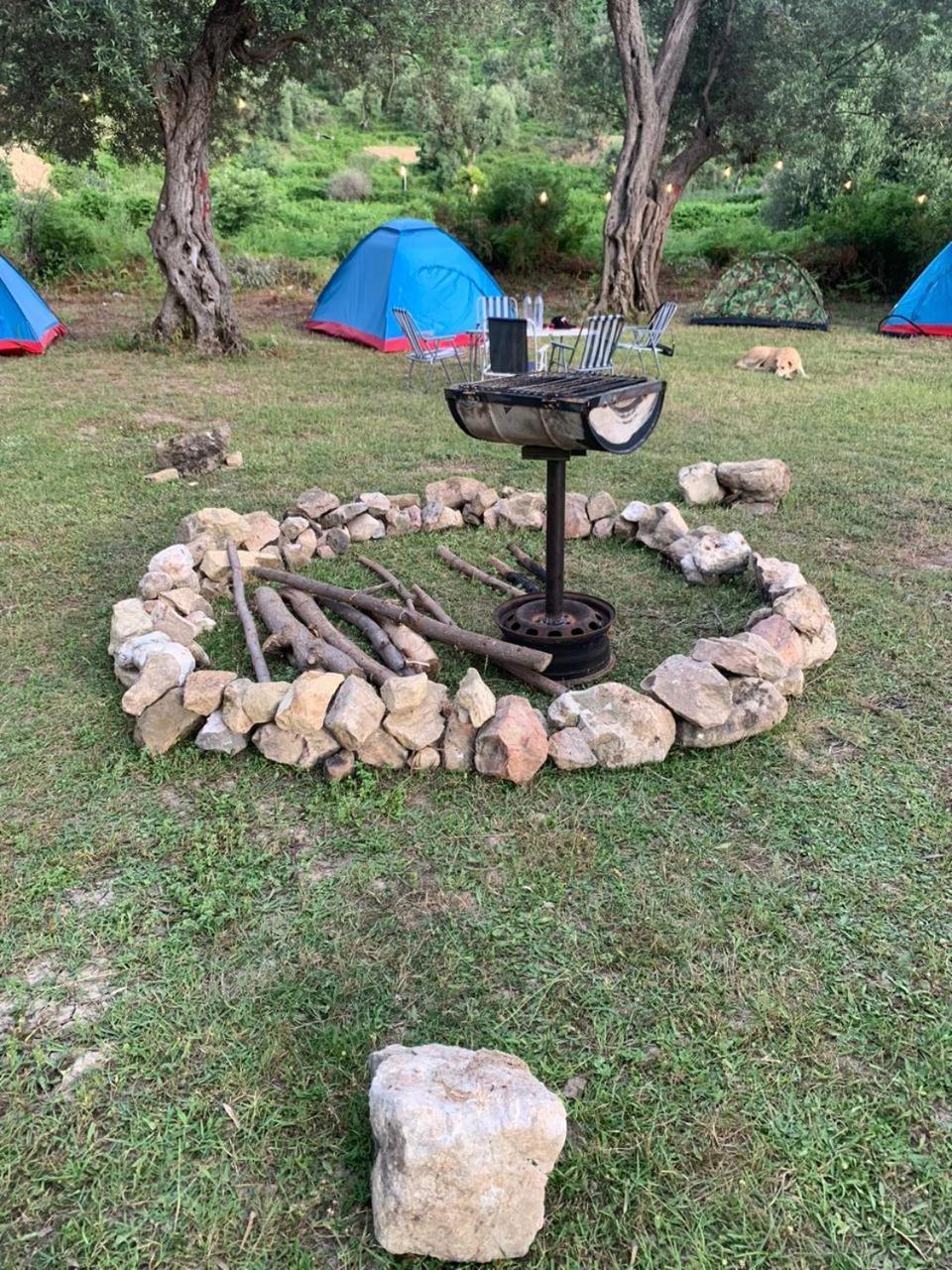 Campingplasser Camping Parknight