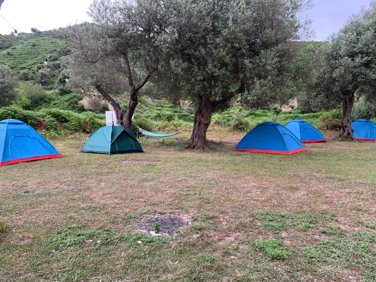 Camping Parknight